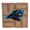 Evergreen Carolina Panthers Team Stepping Stone