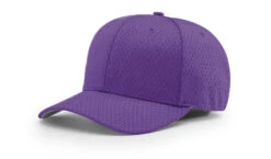 Richardson 495 Pro Mesh 16 Solid Colors (Embroidery Available) -Major League Purple.jpg Purple.jpg Purple.jpg Purple.jpg Purple.jpg Purple 6fd1dbbd 687d 4af0 9a36 e93d55780c58