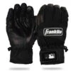 Franklin Cold Weather Winter Gloves
