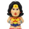 Wonder Woman Big Sip Water Bottle